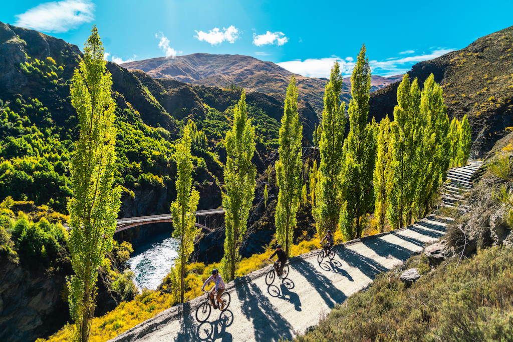 Bike The Wineries Cycle Tour